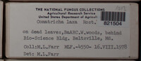 Image Associated With the Occurence